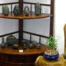 자연+인간+우연 이미지