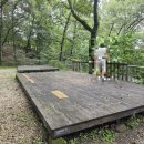 모현야영장 | 서울 근교 용인 캠핑장 모현 야영장 포레스트 17 방문 후기