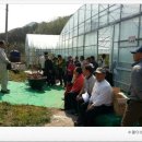 수열농장 네이버블로그