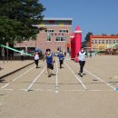 동로초등학교 이미지