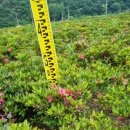 오성농원 이미지