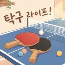 탁구(취미과정 / 야간) | 탁구 치면 진짜 좋은 점 10가지 (솔직 후기)