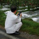 알선농원 이미지