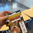 파인더 | 대학생 동아리 개강파티 &amp; MT 후기 | 더파인더 3월 총정리!