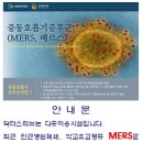 닥터스리뉴 이미지