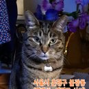 연광초등 이미지
