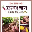 현대키즈어린이집 이미지