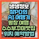 생생정보 장PD의 AI 여행기AI 추천! 평창 여행 육백마지기 위치 펜션예약방법
