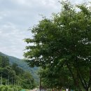 청도자전거공원 이미지