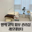 서정타워2차 | [평택/고덕] 환절기 피부 트러블로 다녀온 레오네뷰티 평택고덕점, 민감한 피부에 제격인 라라필 후기