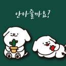 이리온 이미지