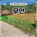무안휀스 시공 후기, 큰 돌 많은 현장에서 완성한 메쉬외문 설치