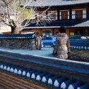 통고산자연휴양림 이미지