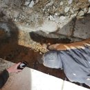 세진주유소 이미지