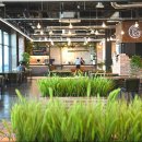 수제 맥주 특화사업장 이미지