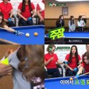 미션당구장 이미지