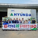 곡성-135 이미지