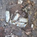 원남초교 이미지