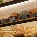 세이버(Savour)