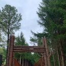 애니호텔 | [모나 용평] 애니 포레, 드래곤벨리호텔 사우나 이용 후기