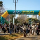 댕댕지구 이미지