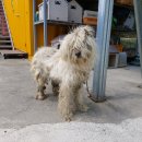 장량동행정복지센터 이미지