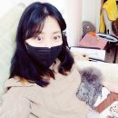 예쁘다 그네일 | 일산페디 잘하는곳 대화역 애견동반 예쁘다그네일 후기!