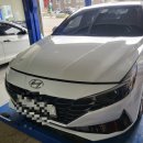 합성견인 이미지