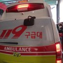 119 한국일보