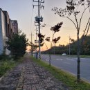 카카오 무인텔 이미지