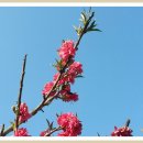 힐링캠프팬션 B 이미지