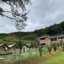 안다랜드 이미지