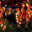 금침한의원 이미지