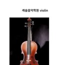 (1:1레슨)바이올린 개인레슨(30분) 이미지