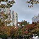 모리쵸