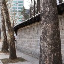 시립도서관 동측 이미지