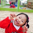 들꽃어린이집 이미지