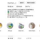 케이크씨