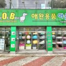 BOB 애견용품 아울렛 이미지