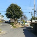 만경읍사무소 이미지