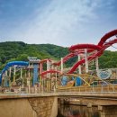 비발디파크오션월드 스마트비즈