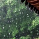 빗소리 / 김현서 이미지