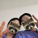 동행2단지216호 | [W.2] 광주 미유스튜디오 후기 l 웨딩촬영, 르베뉴메이크업, 드레스 추가금X, 준비물, 동행