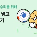 매일D/C