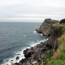 송악산 숲길 이미지