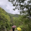 게스트하우스 덕산터 이미지