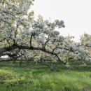 남촌도림동-7 이미지