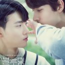 BL KOREA