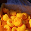 감불농장 이미지