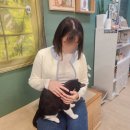 유성구청 4층 | 아이랑 놀기 겨울에 더 좋은 유기묘 고양이 카페 서현 집사의 하루 험